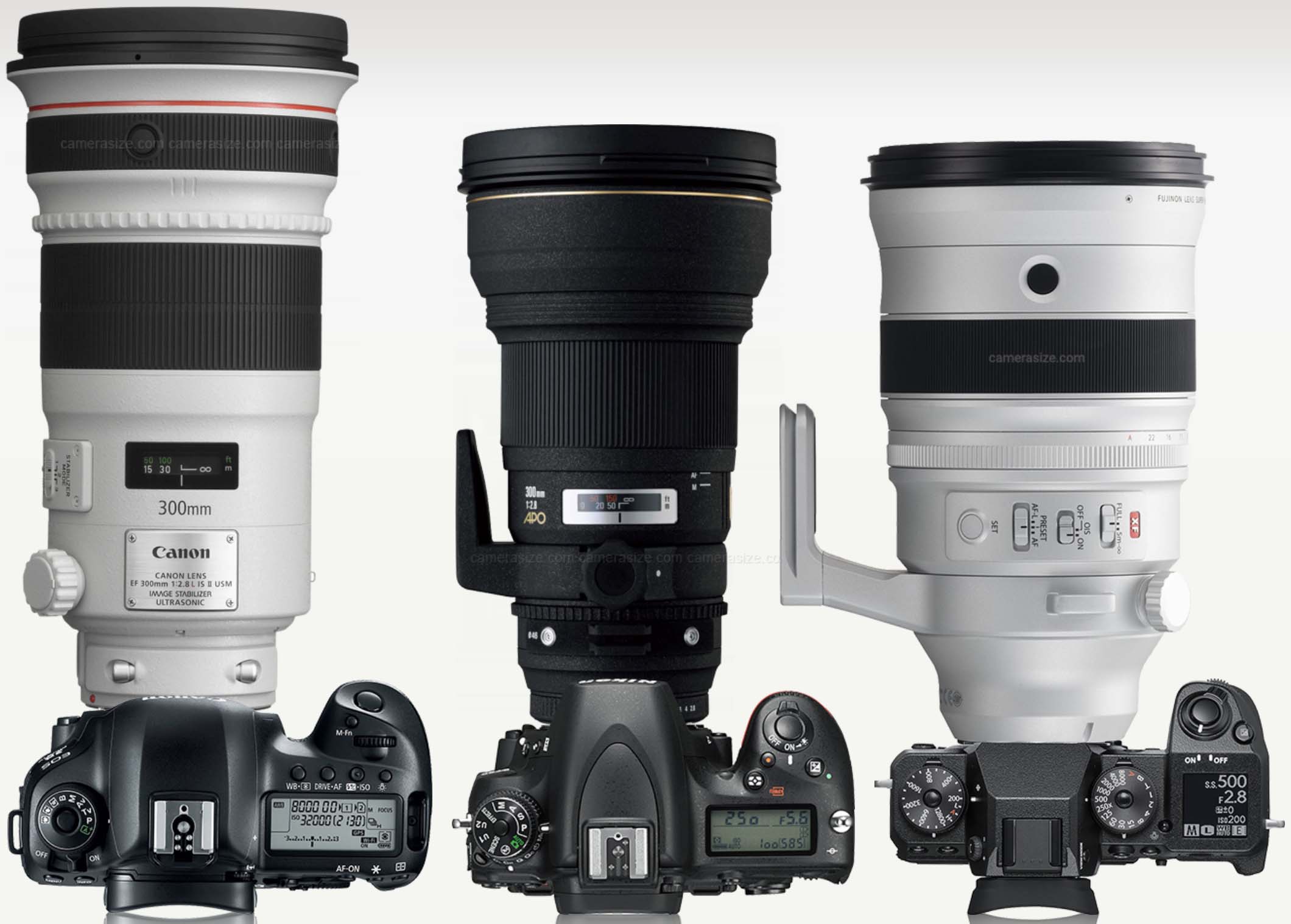 Canon EF 300mm f/2.8l is USM