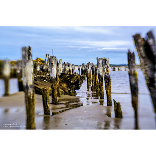 Obiettivo Lensbaby Sol 45 Per Fuji X – Inclinabile F/3.5 Con Bokeh Creativo